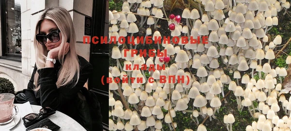 ГАЛЛЮЦИНОГЕННЫЕ ГРИБЫ Абинск