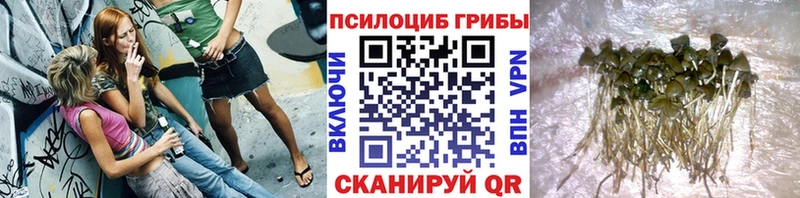 даркнет сайт  мега зеркало  Псилоцибиновые грибы Cubensis  Остров 